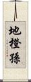 地橙孫 Scroll