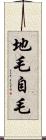 地毛 Scroll