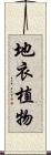 地衣植物 Scroll