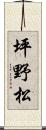 坪野松 Scroll