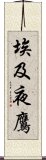 埃及夜鷹 Scroll