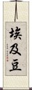 埃及豆 Scroll