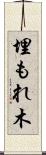 埋もれ木 Scroll