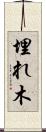 埋れ木 Scroll