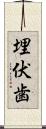 埋伏歯 Scroll