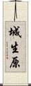 城生原 Scroll