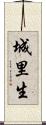 城里生 Scroll