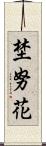 埜努花 Scroll