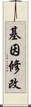 基因修改 Scroll