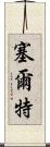 塞爾特 Scroll