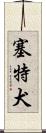 塞特犬 Scroll