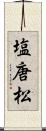塩唐松 Scroll