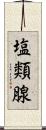 塩類腺 Scroll
