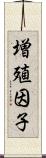 増殖因子 Scroll