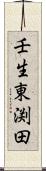 壬生東渕田 Scroll