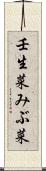 壬生菜 Scroll