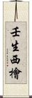 壬生西檜 Scroll