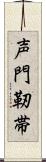 声門靭帯 Scroll