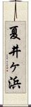 夏井ヶ浜 Scroll