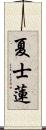 夏士蓮 Scroll