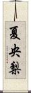 夏央梨 Scroll