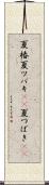 夏椿 Scroll