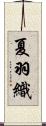 夏羽織 Scroll