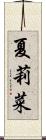 夏莉菜 Scroll