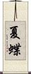 夏蝶 Scroll