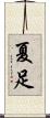 夏足 Scroll