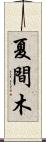 夏間木 Scroll