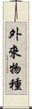 外來物種 Scroll
