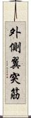 外側翼突筋 Scroll