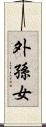 外孫女 Scroll