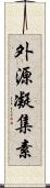 外源凝集素 Scroll