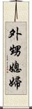 外甥媳婦 Scroll