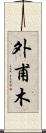外甫木 Scroll
