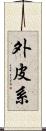 外皮系 Scroll