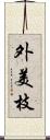 外美枝 Scroll