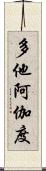 多他阿伽度 Scroll