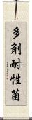 多剤耐性菌 Scroll
