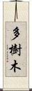 多樹木 Scroll