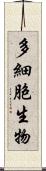 多細胞生物 Scroll