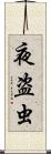 夜盗虫 Scroll
