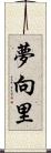 夢向里 Scroll