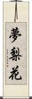 夢梨花 Scroll