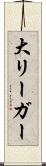 大リーガー Scroll