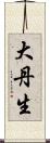 大丹生 Scroll