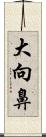 大向鼻 Scroll