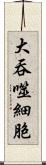 大吞噬細胞 Scroll